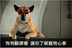 狗狗翻譯機　讓你了解寵物心事