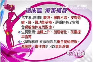 基因速成雞　毒害恐傷身 