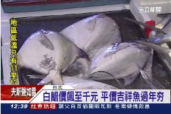 紅鰱替白鯧1200