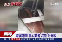 f雙鵬大盤商1800