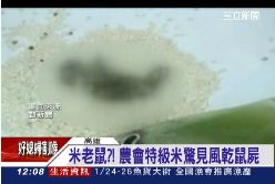 米藏死老鼠1200