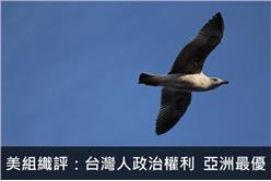 美組織評：台灣人政治權利　亞洲最優 