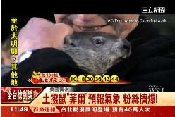 土撥鼠迎春1100.