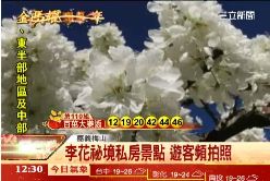 梅山李花開1200.