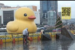 珊)基鴨明掰掰(11)