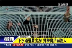 紐約,僵屍,喪屍,影集,整人,搞笑