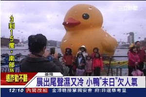 基隆小鴨今再見！夢想鴨接棒展出