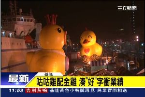 黃色小鴨剛走　夢想咕咕雞接棒登場！