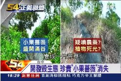 F(不公不義)肚山遭噴藥1800