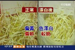 a黑心豆芽菜1200