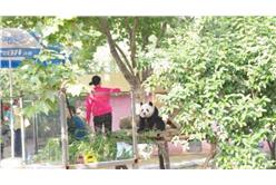 圖片來源　翻攝網路