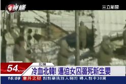 北韓死亡營1600