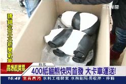 紙貓熊來了1200