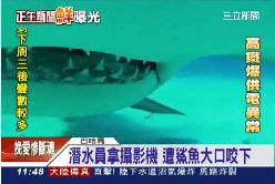 鯊魚玩自拍1100.