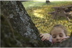 關於選擇與承擔：你要爬樓梯還是爬樹