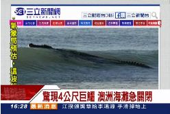 (新聞網)沙灘有鱷魚1600