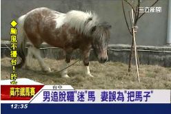 我在把馬子1200