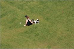 flickr cc 作者Robert Scarth 