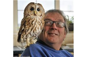 黏人貓頭鷹_卡卡