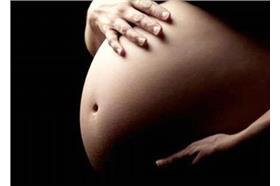 男性體內塑化劑濃度過高_環境資訊中心