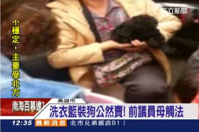 1隻6千！前議員母親　洗衣籃裝狗賣