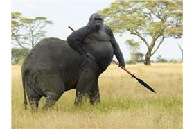 大象和猩猩（2ch）