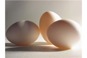 雞蛋（攝影／Brenda Gottsabend，cc授權）