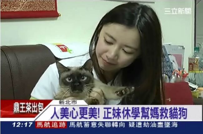流浪貓狗的天使！正妹休學賺錢養貓狗