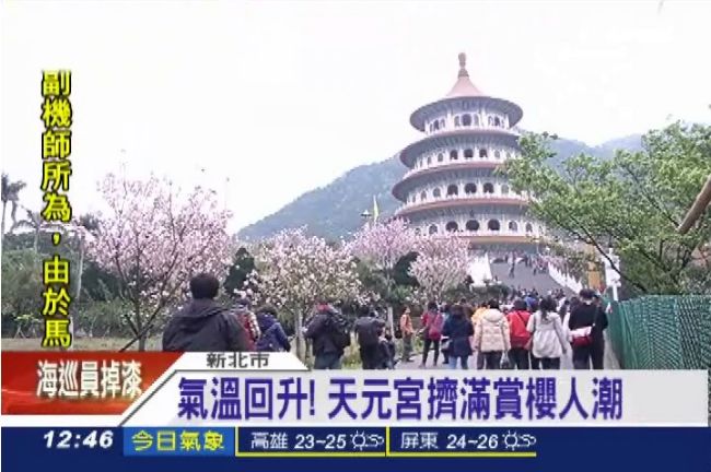 氣溫回升！天元宮擠滿賞櫻人潮