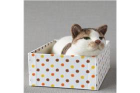 羊毛氈貓咪_卡卡