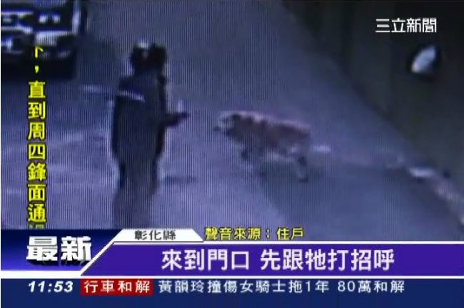 看門狗怎麼當的！婦人潑糞惡搞竟沒叫