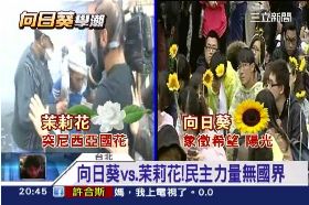 f茉莉向日葵1800