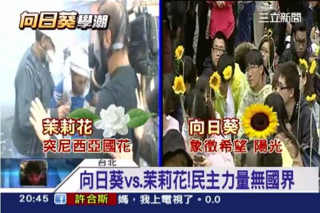 台版「茉莉花革命」　靠社群網路串聯