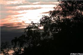 flickr cc 作者Mark O'Leary