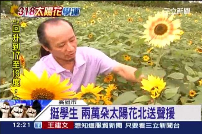 力挺學生！高雄兩萬朵太陽花北送聲援