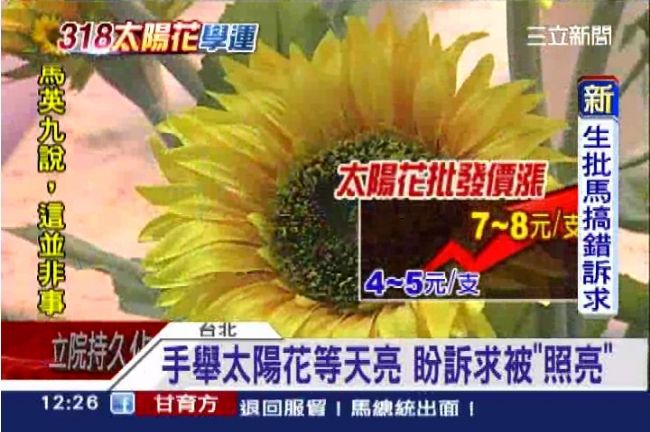 學運取名「太陽花」　供不應求花價漲