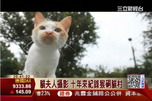 紀錄猴硐貓村之美　台攝影家紅到英美
