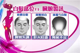 禿頭迷思大破解！搶救三千煩惱絲