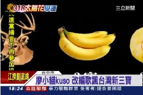 真有香蕉花g1800