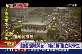 太陽花,學運,立法院,黃建為,金曲,棉花糖,黑潮