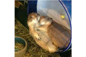 事後自拍照-卡卡洛普