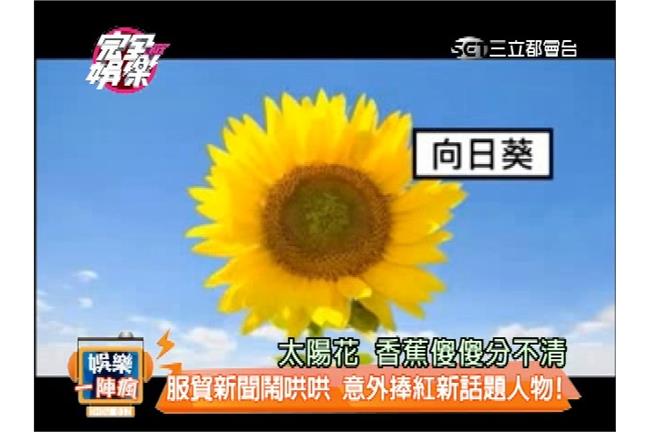 學運期間台股上漲216點、結束就跌