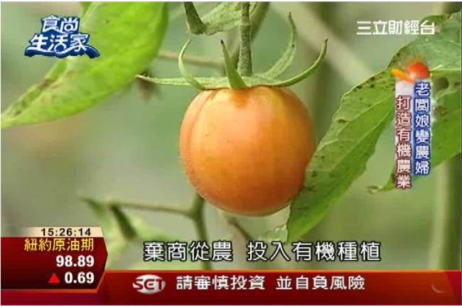 種菜創商機　6旬夫妻打造有機農業