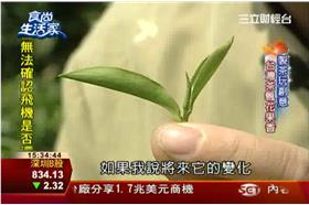 食尚生活家_製茶玩創意