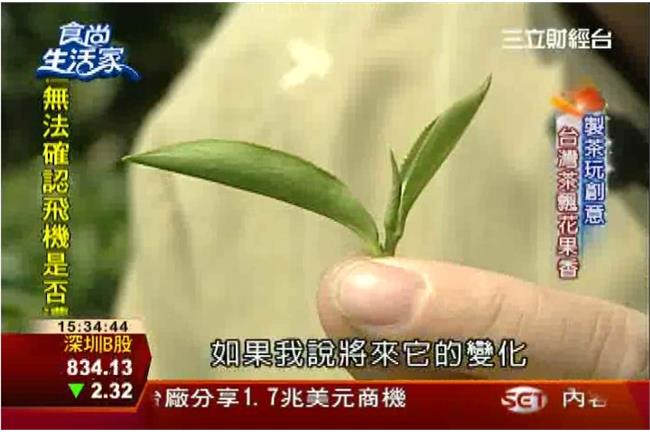 製茶玩創意 方文山與有機茶的結合