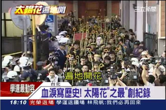 最感人、最血腥…太陽花「之最」紀錄