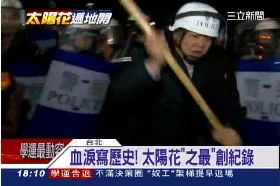 太陽花之最1800