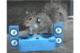 松鼠cosplay圖片來源：Sneezy The Penn State Squirrel粉絲團