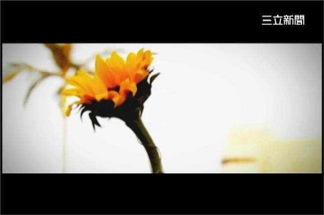 為什麼反學運的人辯論都會輸？