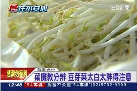 豆芽泡漂白1200